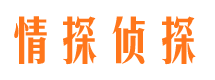 璧山侦探